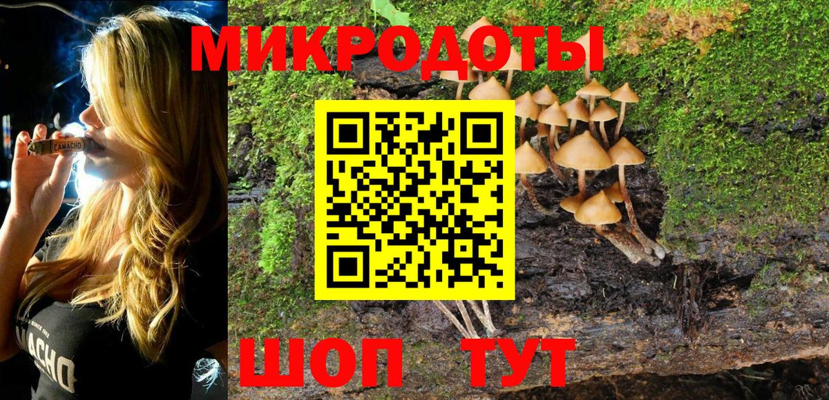 Славгород  Псилоцибиновые грибы GOLDEN TEACHER  Вход с VPN 