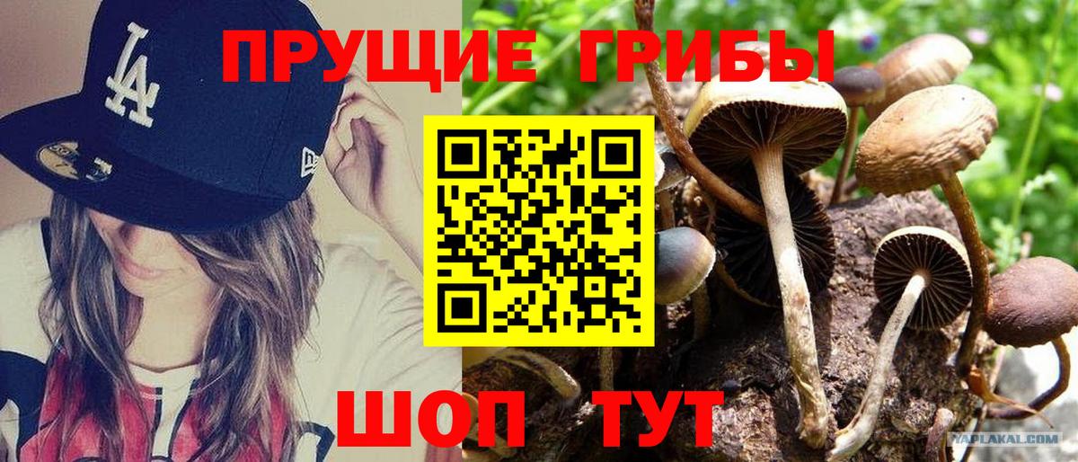 Галлюциногенные грибы GOLDEN TEACHER Славгород